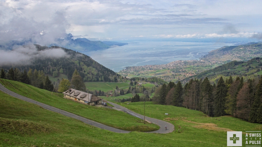 The view from Orgevaux on Vevey and the Lavaux vineyards