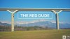 The Red Dude