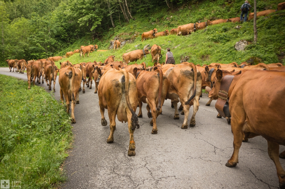 Cycling in the Alps: Tour du Mont Blanc in ultralight touring mode