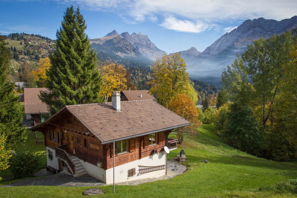 The new A Swiss With A Pulse HQ