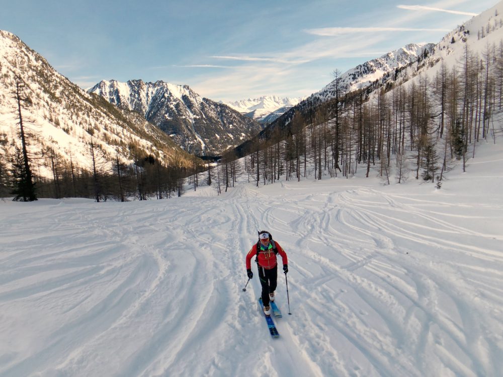 Coming out of the trees