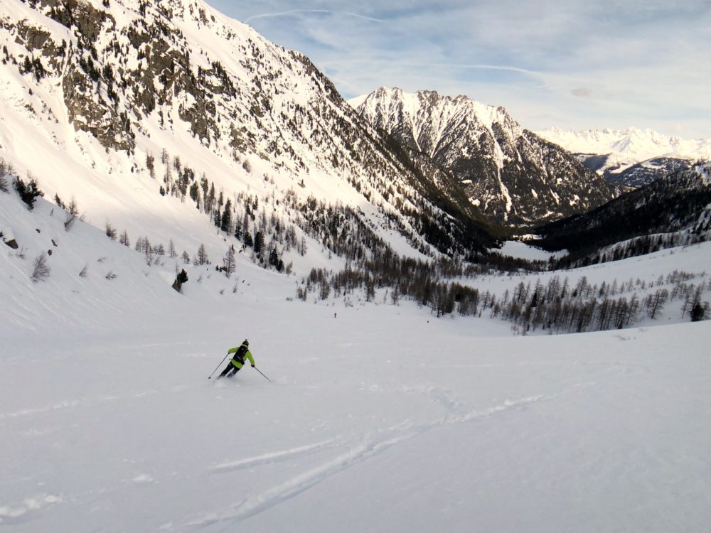 Heading back to the sun