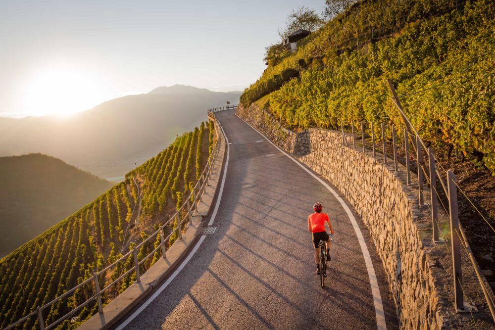 Sunset ride in the Chablais vineyards